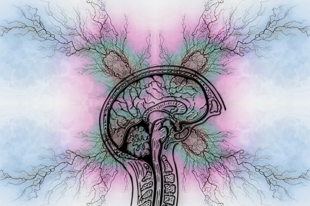 Adhd utredning: hva skjer, og hva bør du vite?