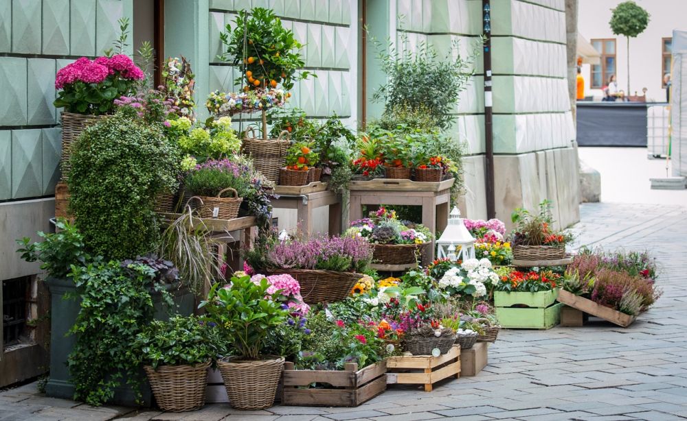 Blomsterbutikk oslo  slik finner du den rette
